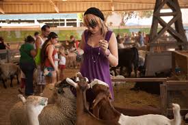 Want to add something unique and affordable to your party? La County Fair Attractions Concert Schedule