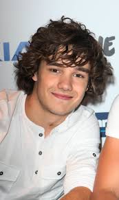Forget Brunette Niall Horan Say Hello To Buzzed Liam Payne Liam Payne One Direction Harry Styles One Direction