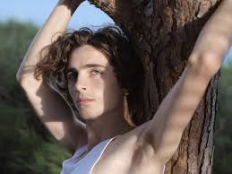 Timothée hal chalamet (born december 27, 1995) is an american actor. Timothee Chalamet Von Hedi Slimane Graveravens