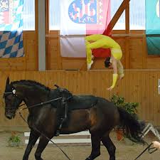 Tipps für mehrere flick flacks am stüc. Flickflack Definition Und Synonyme Von Flickflack Im Worterbuch Deutsch