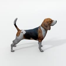 Metal kitchen signs ukc forums beagles. Beagle Dog 3d Model In Dog 3dexport