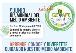 Acción en el ayuntamiento de málaga con diferentes colectivos para pedir una transformación social y medio ambiental a la salida del estado de alarma. Celebramos El Dia Mundial Del Medio Ambiente Centrandonos En La Biodiversidad