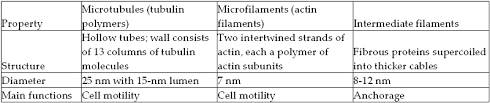 In locations where a hemidesmosome's attentions are unrequited, such as the junction of an epithelial cell with its basement membrane, hemidesmosomes appear alone. Chapter 6 Flashcards Easy Notecards