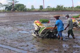 Sengkawit rt.023, tanjung selor, bulungan, provinsi. Kementan Godok Program Unggulan Pertanian Di Kaltara Radartani