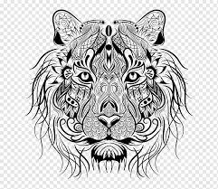 El albinismo es una mutación genética determinada por la completa falta de melanina (pigmento oscuro que colorea la. Libro Para Colorear Tigre Leon Dibujo Tigre Blanco Nino Mamifero Png Pngwing