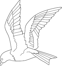 Flying Bird Of Paradise Drawing Image Result For Open Cage Bird Flying Free Colorful Bird Tattoos Bird Drawings Bird Coloring Pages