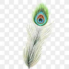 Green Peacock Feather Birds Peacock Feather Green Feather Png Transparent Clipart Image And Psd File For Free Download Feather Background Feather Graphic Janmashtami Wishes