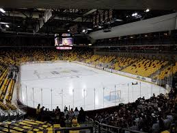 Bulldog Hockey Review Of Amsoil Arena Duluth Mn