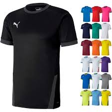 Diese ehre kommt auch der offiziellen fanwear der schweiz zu. Puma Teamgoal 23 Jersey Flyeralarm Sports 10 49