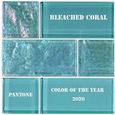 Pin By Dave Rubinson On Miami Colors 2020 Color Of The Year Coral Decor Bleach Color