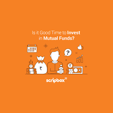 Best Small Cap Mutual Funds To Invest In 2023