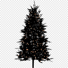 Its resolution is 728x948 and it is transparent background and png format. Night Bg Christmas Tree Black Christmas Tree Png Pngegg