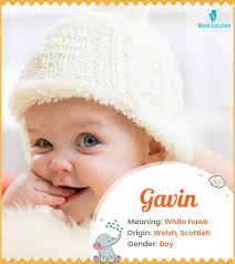 Gavin Name Meaning, Origin, History, And Popularity
