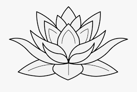 Google Image Result For Https Www Netclipart Com Pp M 18 183331 Drawing Flower Lotus Lotus Flower Drawing Lotus Flower Drawing Lotus Drawing Lotus Flower Art