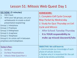 Cell cycle and mitosis worksheet answer key 100 images the from cell cycle and mitosis worksheet answer key, source:mascotfinestchain.tk. Lesson 51 Mitosis Web Quest Day 1 Ppt Download