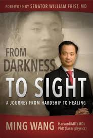 From Darkness to Sight: A Journey from Hardship to Healing by Ming Wang