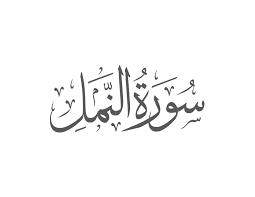 Surah An-Naml Introduction — Muflihun