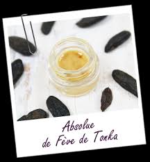 Absolue De Feve De Tonka Proprietes Et Utilisations Aroma Zone