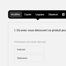 Survio Exemple De Questionnaire D Evaluation De La Satisfaction Des Clients D Un Fast Food