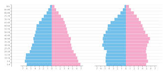 population pyramid learn about this chart and resources