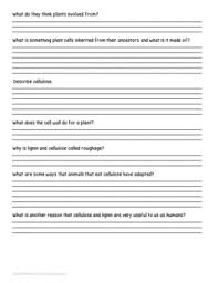 Check spelling or type a new query. Crash Course Biology 6 Plant Cells Video Worksheet Tpt
