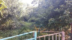 Check spelling or type a new query. Venta De Fincas En Oviedo Nortecasa Inmobiliaria