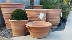 Sold and shipped by spreetail. Buy Plant Pots Uk Delivery Architectural Plants
