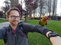 Sfacc is the city's only open admission shelter; I Finally Got To Meet One Of San Francisco S Wild Parrots Sanfrancisco