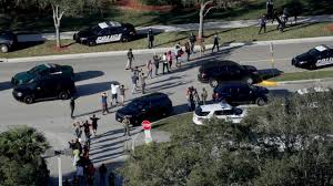 Broward County Sheriff S Office Caught In Yet Another Massive Screw Up You Won T Believe This One With Images Broward County Sheriff School Shootings Florida High School