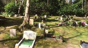 Our positioning in the heart of the south east is just 6 miles from gatwick airport meaning you can easily reach us by road or rail from london as well as all over sussex, surrey and kent. Chestnut Lodge Pet Crematorium Pet Cemetery London Sussex Surrey