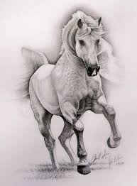 Pencil Drawing Horse Drawings Horse Art Animal Drawings