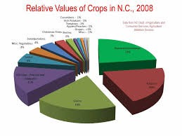 economic development nc state extension