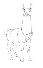 Images For Gt Llama Face Drawing Llama Face Drawings Llama Painting