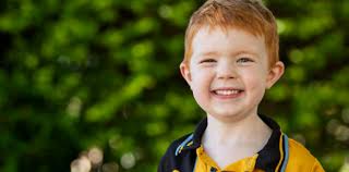 Principal's Newsletter