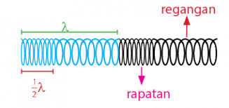 Gelombang dalam fisika diartikan sebagai getaran yang merambat pada suatu medium yang membawa energi dari satu tempat ke tempat lainnya. Gelombang Transversal Dan Longitudinal Idschool