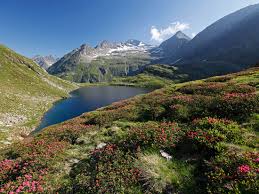 S 50,— erste chorprobe freitag 26. Sommer Andenbacherhof Sommer Und Winterurlaub In Schladming Rohrmoos