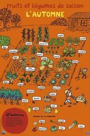 Epingle Sur Potager