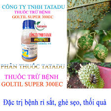 Goltil super 300EC