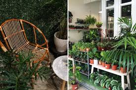 Shah alam, hotel shah alam, i city shah alam malaysia, mbsa shah alam, concorde shah alam, latest promo of raees proves shah rukh khan and nawazuddin via www.inuth.com. 9 Instagram Worthy Plant Stores In Malaysia Tatler Malaysia