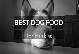 Best dog food for siberian husky puppies. Top 5 Picks Of Best Dog Food For Huskies 2019 S Ultimate Buying Guide