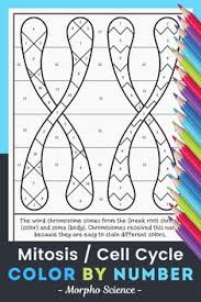 Mitosis Cell Cycle Color By Number Activity Cell Cycle Middle School Science Experiments Interactive Science Notebook