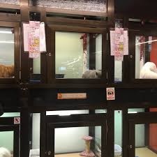 With the latest addition of the brand new mbo central square, sungai petani, mbo cinemas has a total of 26 cinemas and 191. Petsmore Pet Store In Setapak