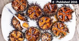Maybe you would like to learn more about one of these? On The Costa Brava Of Spain A Sea Urchin Quest The New York Times