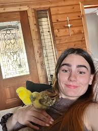 So I bought two budgies about four weeks ago one died within three days so  I bought another one and the first one that survived when I originally  bought the two I've