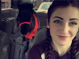 Muffin the Miniature Therapy Horse