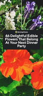 Once your floral design is just perfect, we overnight flowers right to the recipient's door! 46 Delightful Edible Flowers That Belong At Your Next Dinner Party
