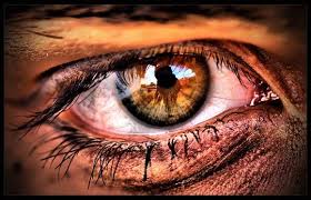 1000 Images About Eye Photography On Pinterest Portrait Cool Eyes Macro Photography Eye Photography