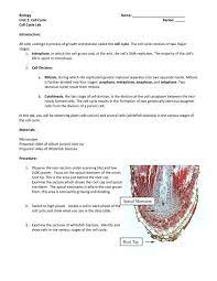 Maybe you would like to learn more about one of these? Cell Cycle Lab Pdf