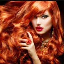 The Wild Hairs Salon