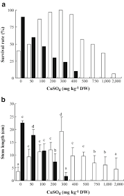 Image result for Haumaniastrum katangense
